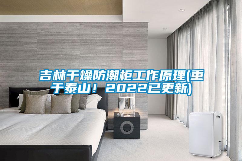 吉林干燥防潮柜工作原理(重于泰山！2022已更新)