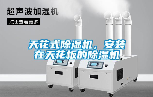 天花式除濕機，安裝在天花板的除濕機