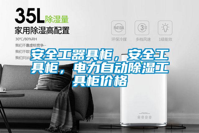 安全工器具柜，安全工具柜，電力自動除濕工具柜價格