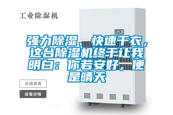 強力除濕、快速干衣，這臺除濕機終于讓我明白：你若安好，便是晴天