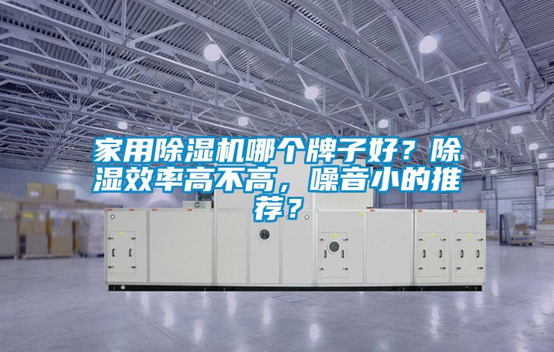 家用除濕機哪個牌子好？除濕效率高不高，噪音小的推薦？