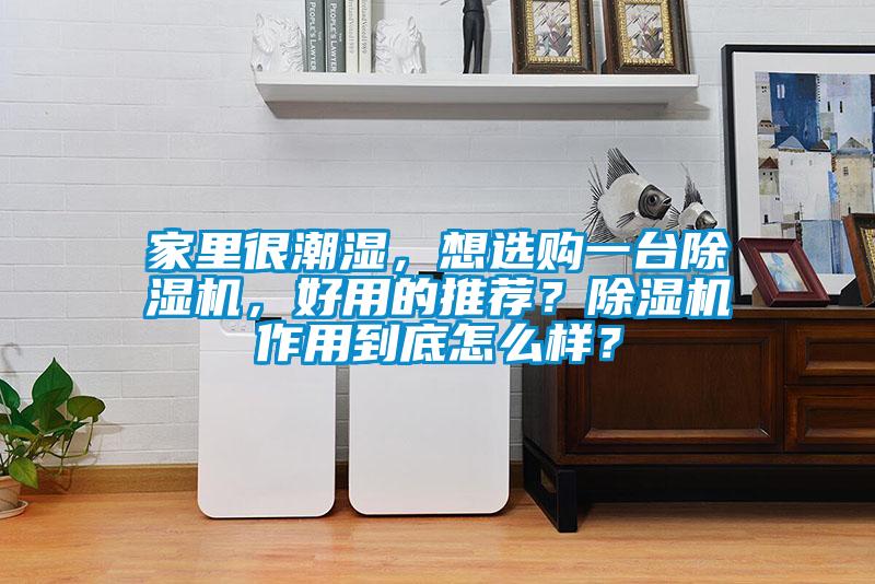 家里很潮濕，想選購一臺除濕機，好用的推薦？除濕機作用到底怎么樣？