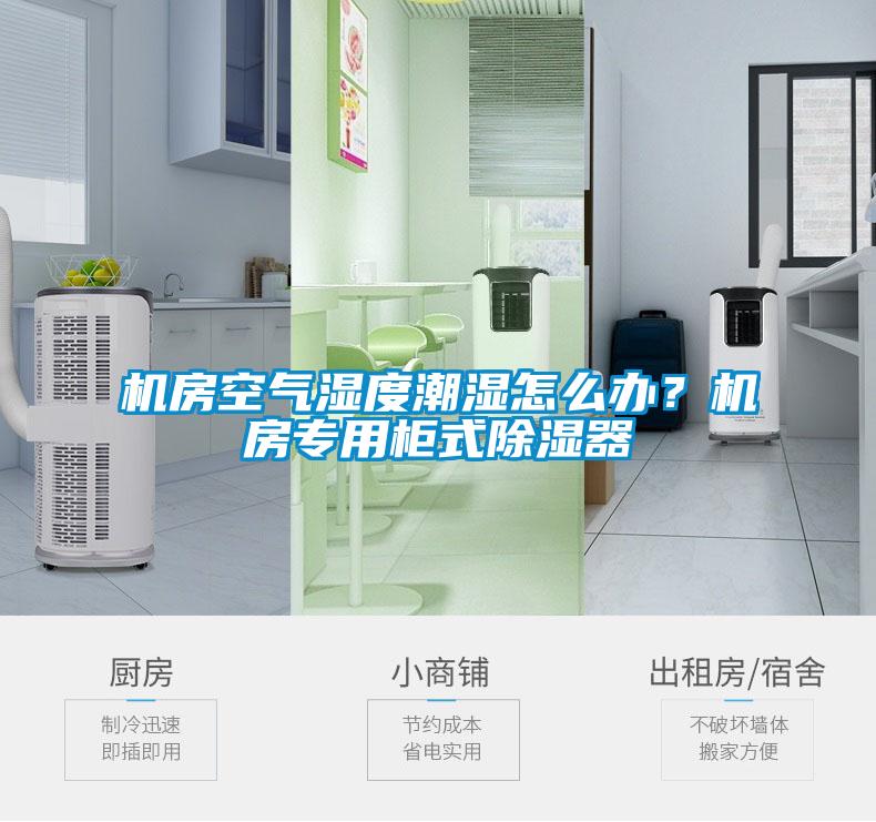 機房空氣濕度潮濕怎么辦？機房專用柜式除濕器