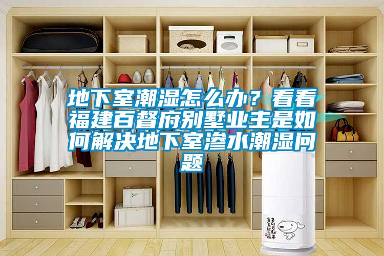 地下室潮濕怎么辦？看看福建百督府別墅業主是如何解決地下室滲水潮濕問題