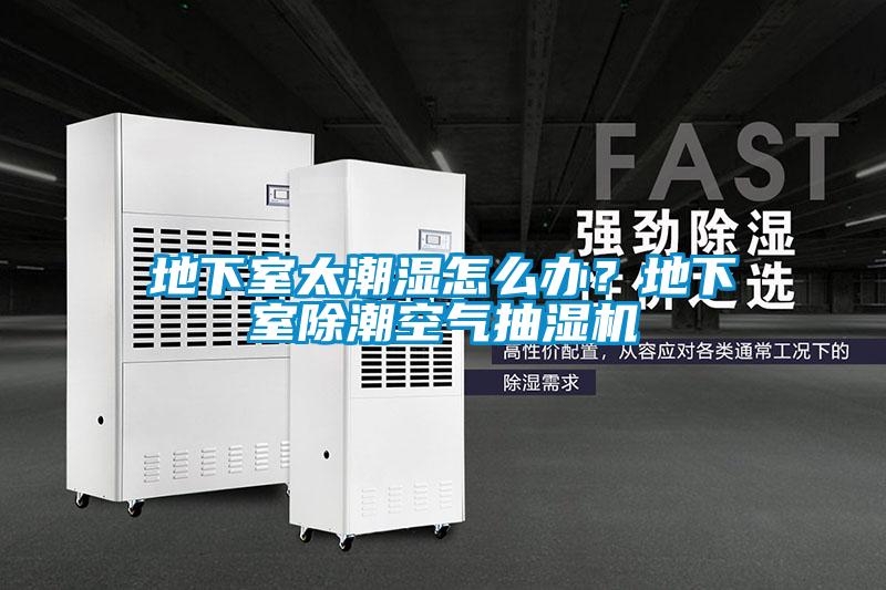 地下室太潮濕怎么辦？地下室除潮空氣抽濕機