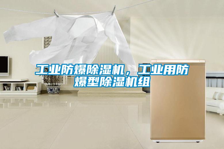 工業防爆除濕機，工業用防爆型除濕機組
