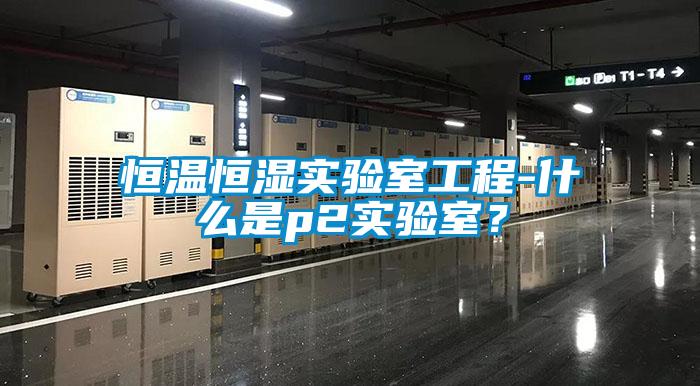 恒溫恒濕實驗室工程-什么是p2實驗室？