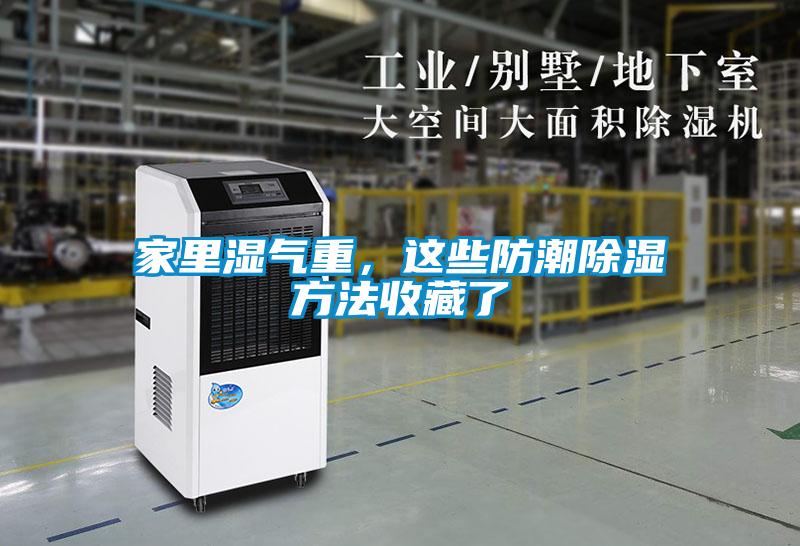 家里濕氣重，這些防潮除濕方法收藏了