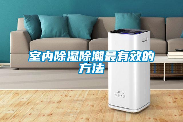 室內除濕除潮最有效的方法