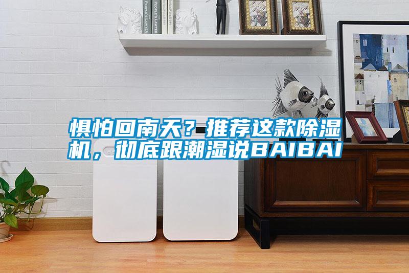 懼怕回南天？推薦這款除濕機，徹底跟潮濕說BAIBAI