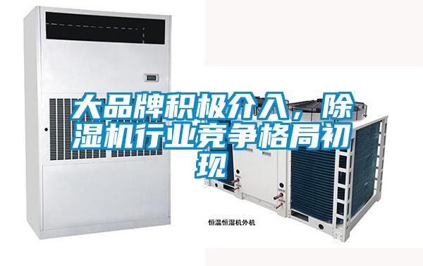 大品牌積極介入，除濕機行業競爭格局初現