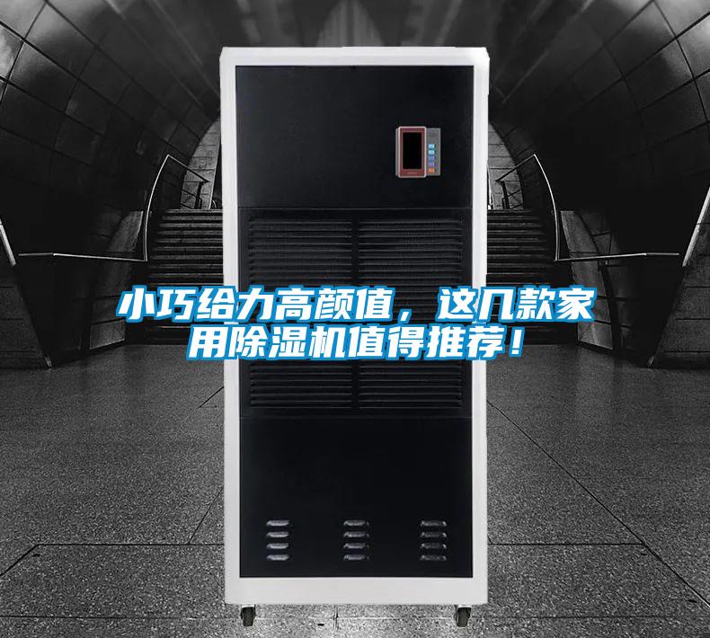 小巧給力高顏值，這幾款家用除濕機值得推薦！