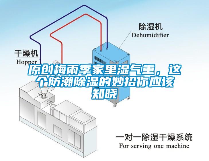 原創梅雨季家里濕氣重，這個防潮除濕的妙招你應該知曉