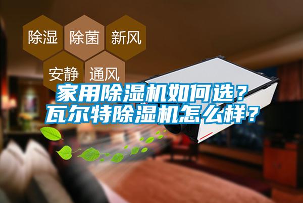 家用除濕機如何選？瓦爾特除濕機怎么樣？