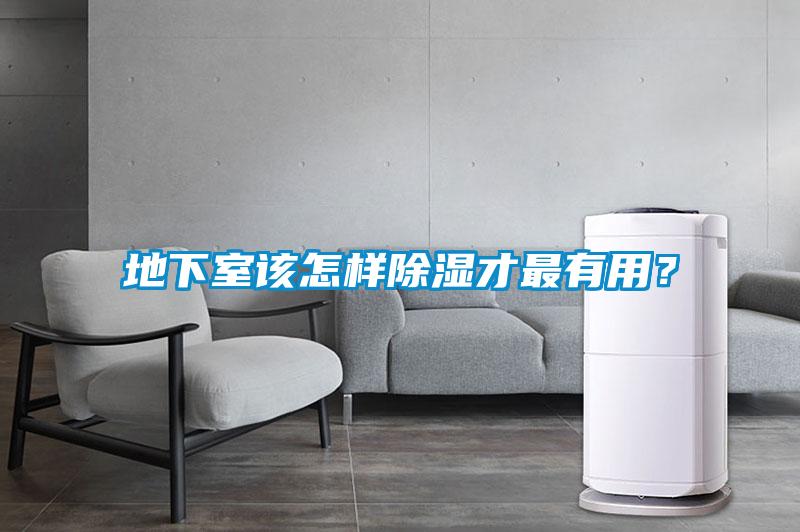 地下室該怎樣除濕才最有用？