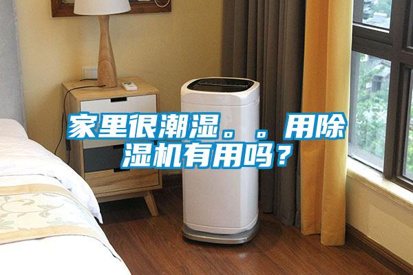 家里很潮濕。。用除濕機有用嗎？
