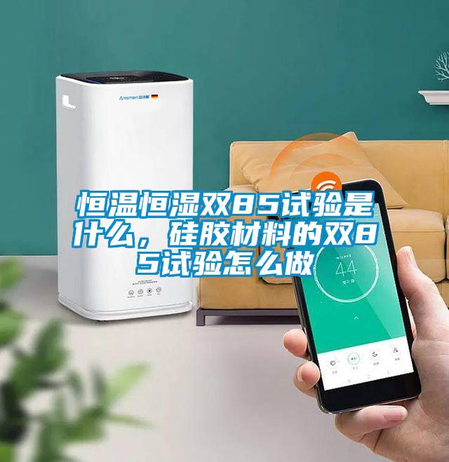 恒溫恒濕雙85試驗是什么，硅膠材料的雙85試驗怎么做