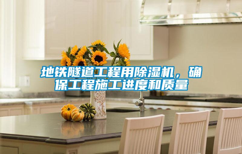 地鐵隧道工程用除濕機，確保工程施工進度和質量