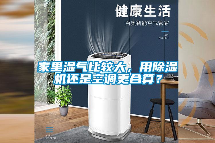 家里濕氣比較大，用除濕機還是空調更合算？