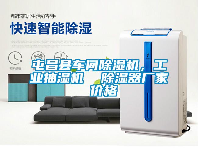 屯昌縣車間除濕機，工業抽濕機  除濕器廠家 價格