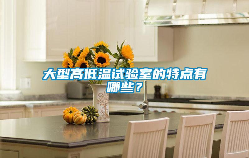 大型高低溫試驗室的特點有哪些？