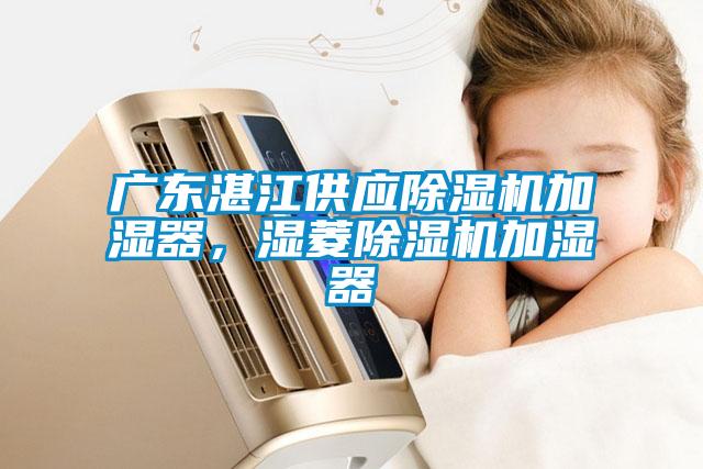 廣東湛江供應除濕機加濕器，濕菱除濕機加濕器