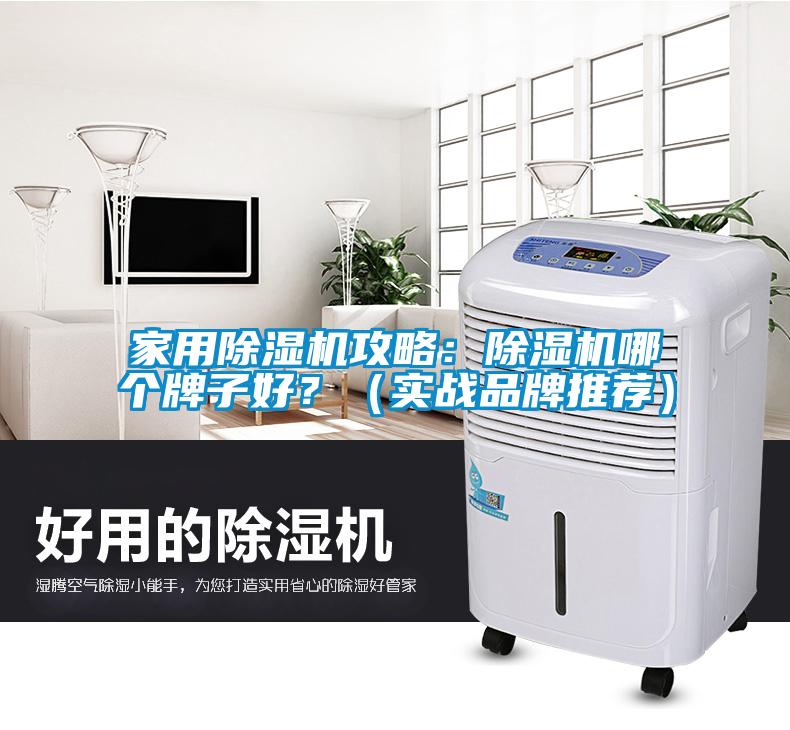家用除濕機攻略：除濕機哪個牌子好？（實戰品牌推薦）