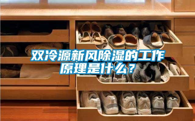 雙冷源新風除濕的工作原理是什么？