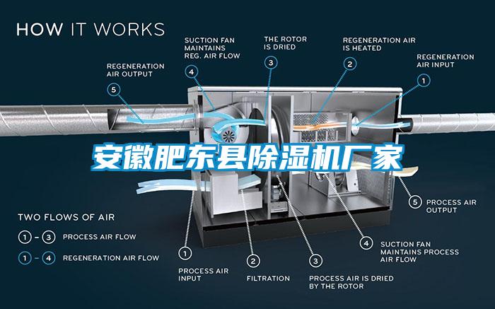 安徽肥東縣除濕機廠家
