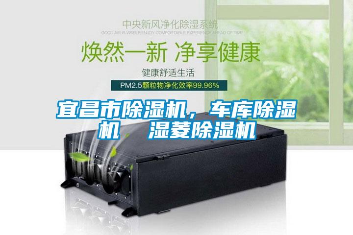 宜昌市除濕機，車庫除濕機  濕菱除濕機