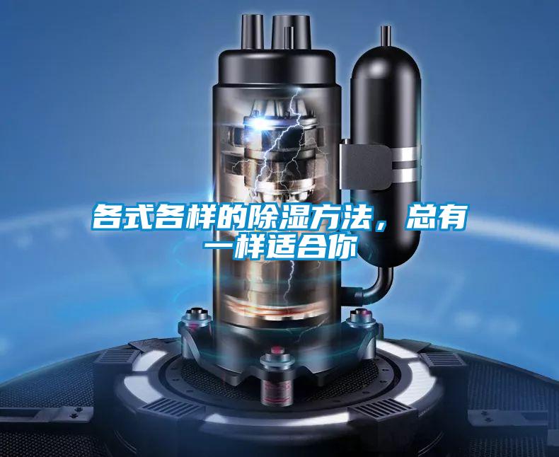 各式各樣的除濕方法，總有一樣適合你