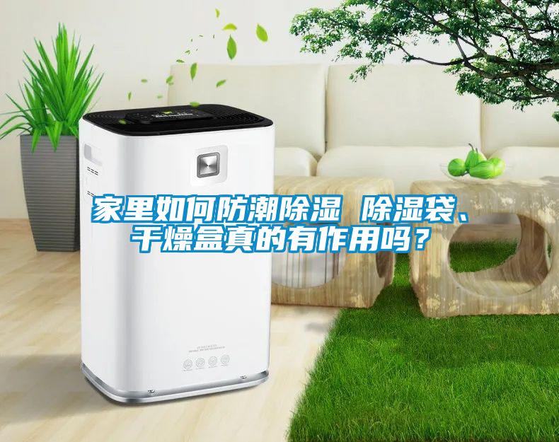 家里如何防潮除濕 除濕袋、干燥盒真的有作用嗎？