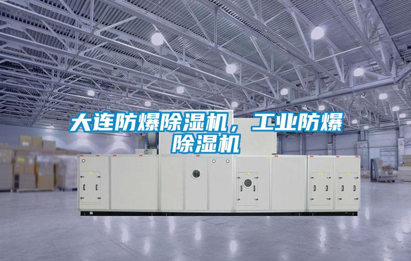 大連防爆除濕機，工業防爆除濕機
