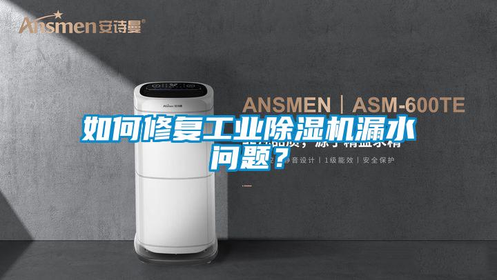 如何修復工業除濕機漏水問題？