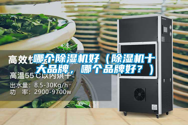 哪個除濕機好（除濕機十大品牌，哪個品牌好？）