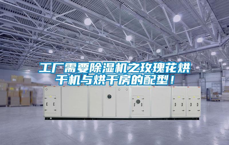 工廠需要除濕機之玫瑰花烘干機與烘干房的配型！