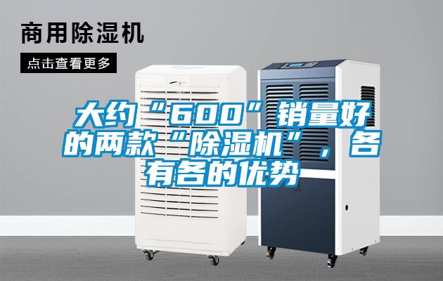 大約“600”銷量好的兩款“除濕機”，各有各的優勢