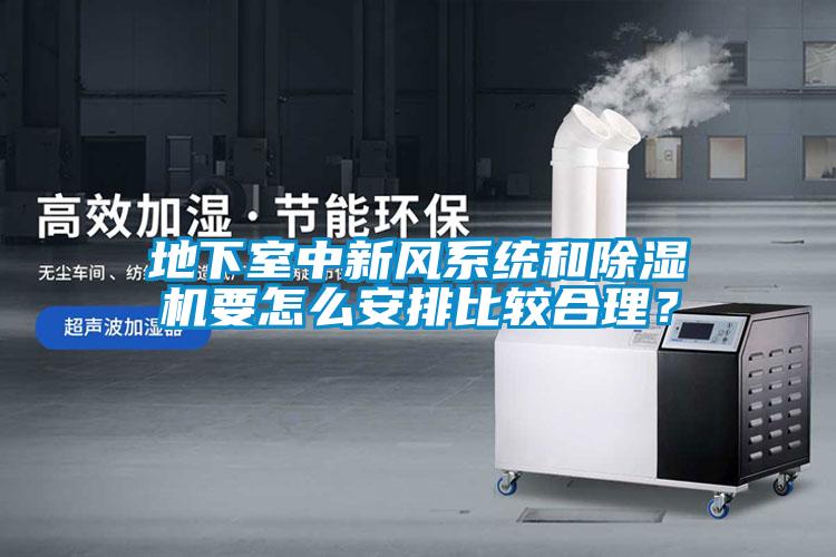 地下室中新風系統和除濕機要怎么安排比較合理？