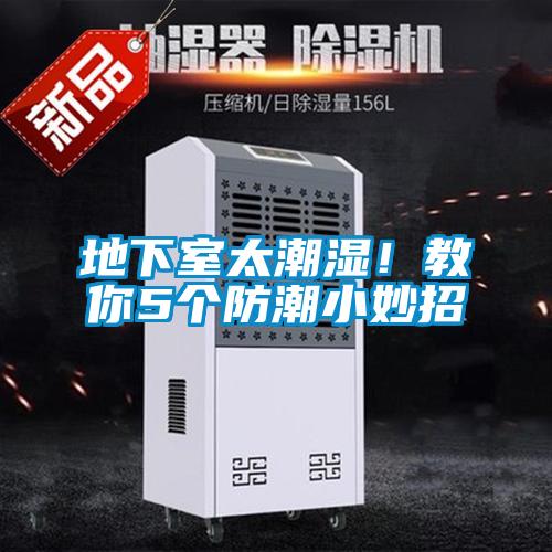 地下室太潮濕！教你5個防潮小妙招