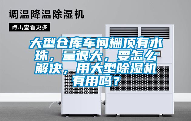 大型倉庫車間棚頂有水珠，量很大，要怎么解決，用大型除濕機有用嗎？