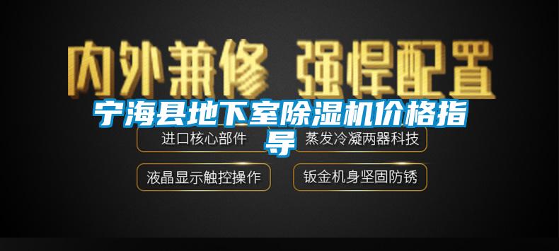 寧?？h地下室除濕機價格指導