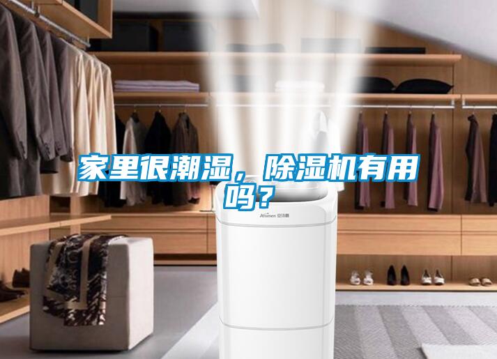 家里很潮濕，除濕機有用嗎？