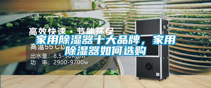 家用除濕器十大品牌，家用除濕器如何選購