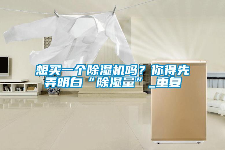 想買一個除濕機嗎？你得先弄明白“除濕量”_重復