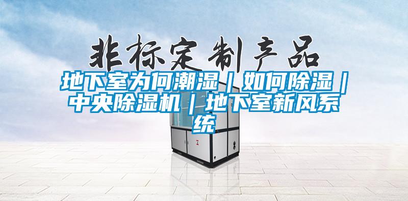 地下室為何潮濕｜如何除濕｜中央除濕機｜地下室新風系統