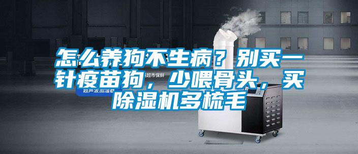 怎么養狗不生??？別買一針疫苗狗，少喂骨頭，買除濕機多梳毛