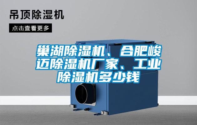 巢湖除濕機、合肥峻邁除濕機廠家、工業除濕機多少錢
