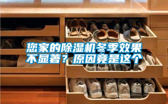 您家的除濕機冬季效果不顯著？原因竟是這個