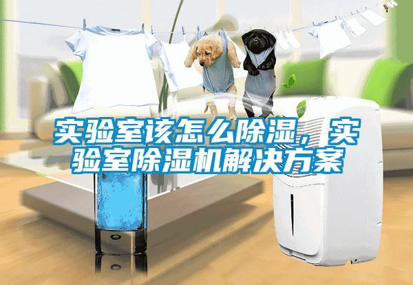 實驗室該怎么除濕，實驗室除濕機解決方案