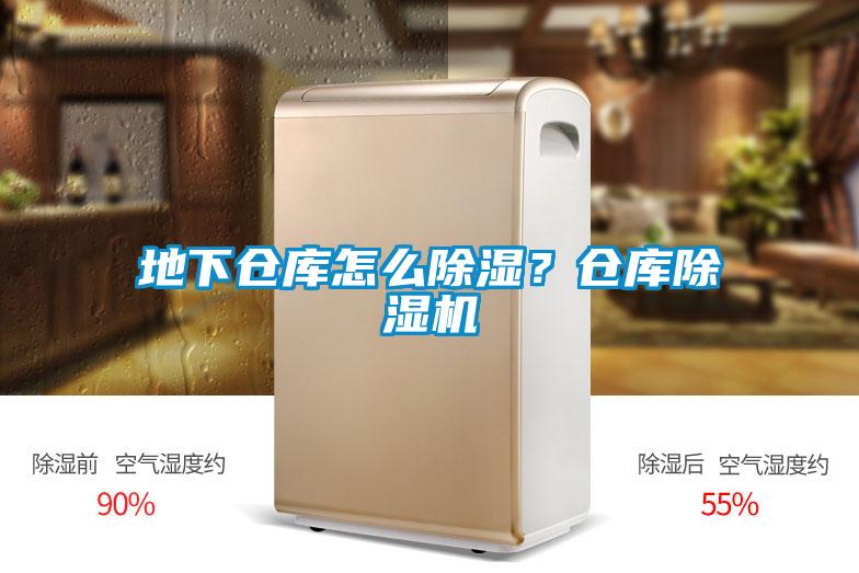 地下倉庫怎么除濕？倉庫除濕機